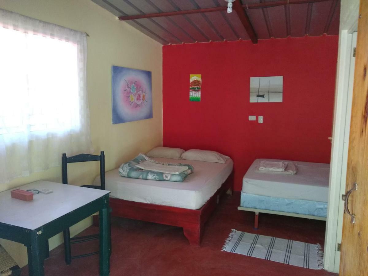 Conrado'S Guesthouse B&B Las Avispas Eksteriør billede